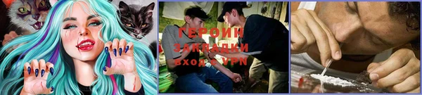 ECSTASY Кукмор