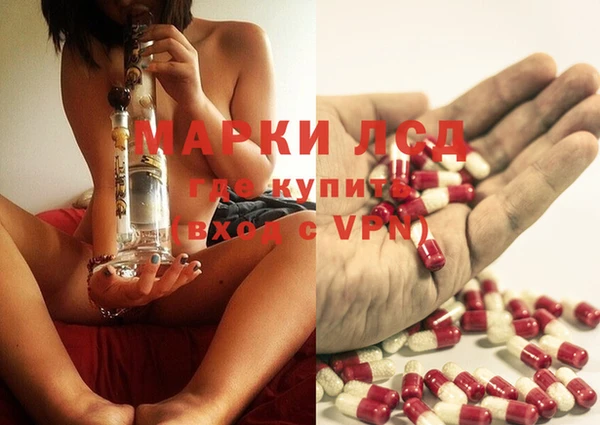 ECSTASY Кукмор