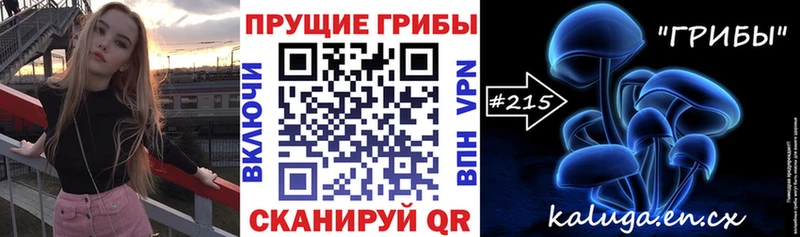 Галлюциногенные грибы Psilocybe  как найти закладки  Перевоз 